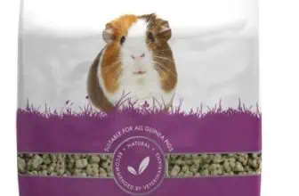 Marsvinmat best i test